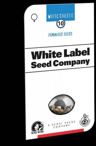 White Cheese - Feminizovaná semena konopí 5 ks, Sensi Seeds