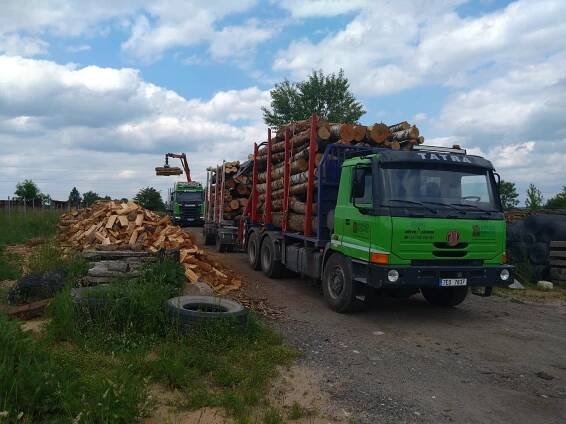Dřevo Zámrsk – Palivové dřevo Zámrsk