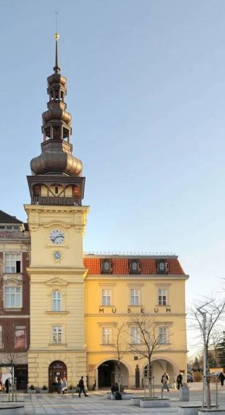 Ostravské muzeum potřebuje vaši pomoc