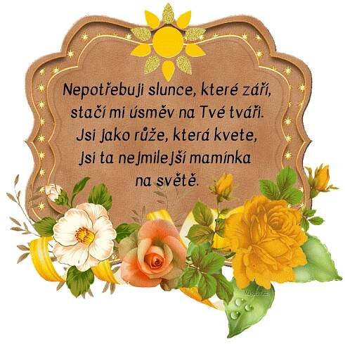 prani_k_svatku_matek_2
