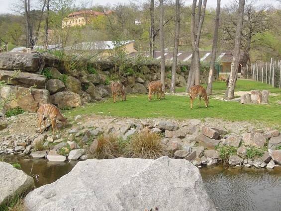 Techmania a ZOO Plzeň | TRIVIS Vodňany