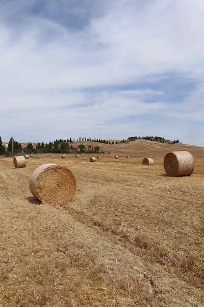 Countryside road trip Tuscany: best photo spots - Borderless Bliss