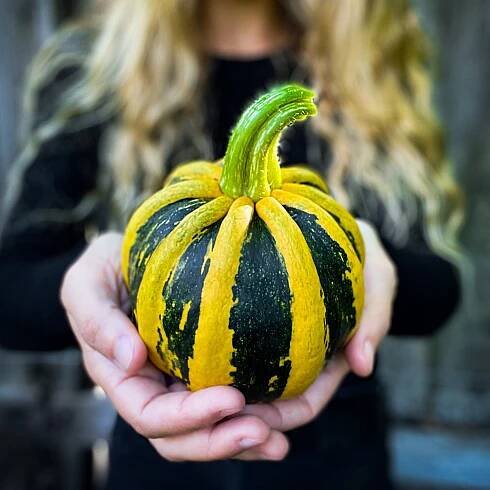 Squash-Kamo-Kamo-1