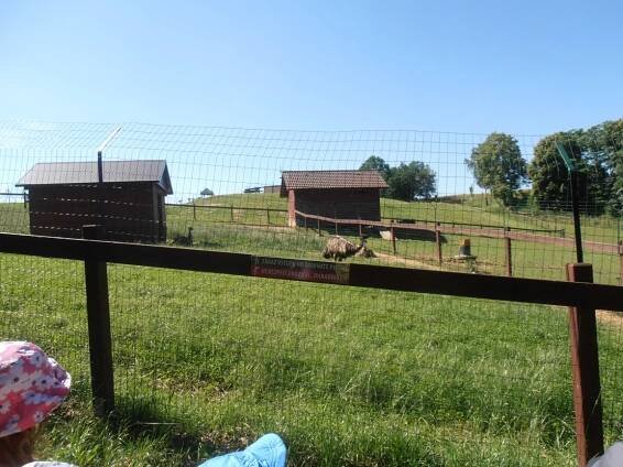 Mateřská škola Terezínská – Lovosice » Blog Archive » Celodenní výlet na Farmu do Soběhrd – 1., 2. a 5.třída