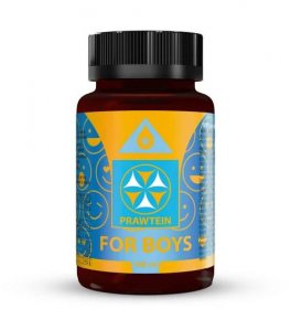 BEWIT PRAWTEIN FOR BOYS - Superpotravina