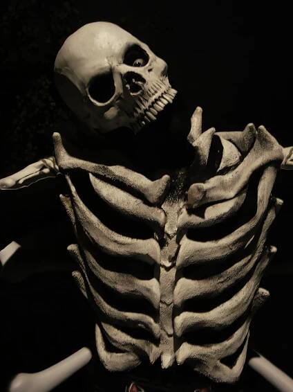 Stilt-walking skeleton spider and voodoo priest.