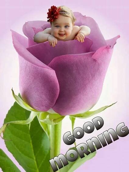Pin by Peace Maker on days of the week | Cute good morning, Good morning picture, Cute good morning images