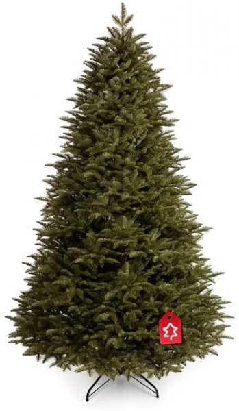 Jedle Kavkazská 100 % 220 cm