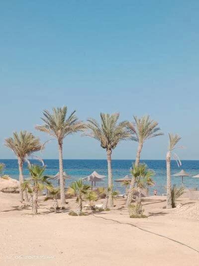 Úžasná dovolená - Recenze hotelu Wadi Lahmy Azur Resort **** (Egypt - Marsa Alam - Berenice) | Recenze.cz 