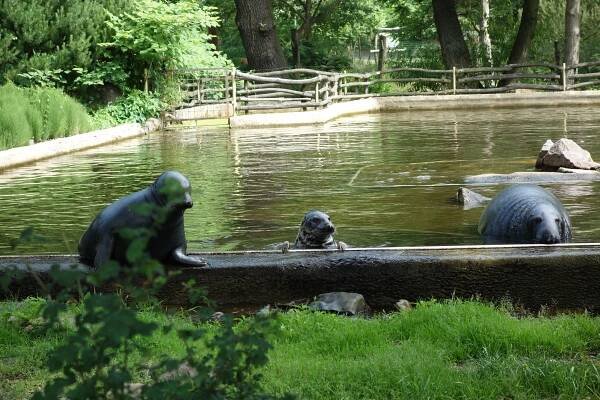Zoopark Chomutov - 5. třída (6.6.2018) - Oficiální stránky ZŠ a MŠ Doksy