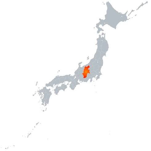Nagano Map (Detail)