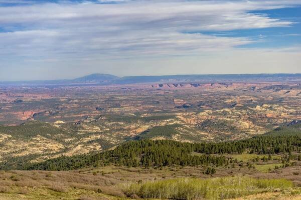 Boulder Mountain Scenic Overlooks