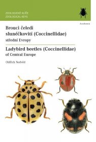 Brouci čeledi slunéčkovití (Coccinellidae) střední Evropy / Ladybird beetle - Nedvěd Oldřich | Jasminka.cz