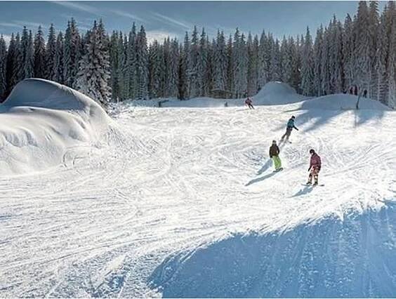 Sjedzdovka Ski areál Potůčky - apartmán k pronajmutí - foto 20