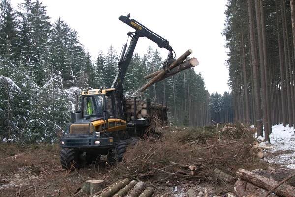 Lesní těžba dřeba a výroba dřevěných domů - Havlíčkův Brod | Pila Rozsochatec