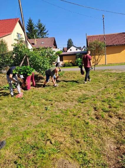 Sázení stromů - Oficiální stránky obce Bohutín