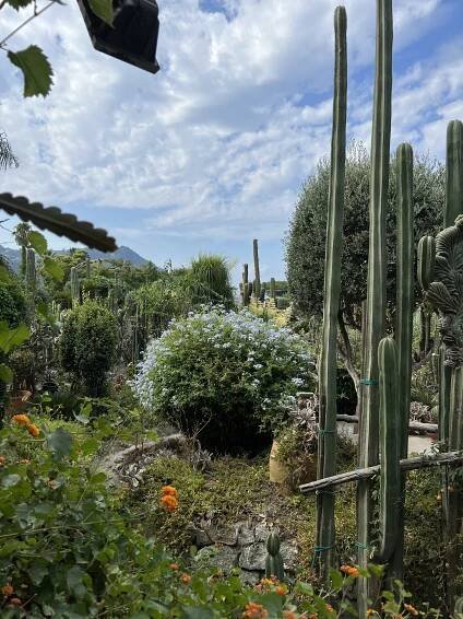 ISCHIA Italien, Ferienwohnung Villa Ravino Urlaub, FeWo, Bed