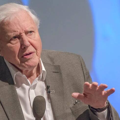 Sir David Attenborough joins Instagram