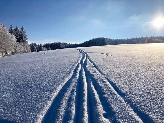 Olešnice v Orlických horách - zimní krajina 2021 -  - foto 40