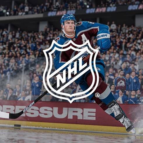 Case Study NHL