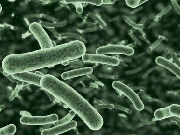 mikroskopické zobrazení tekoucích bakterií - bakterie - stock snímky, obrázky a fotky