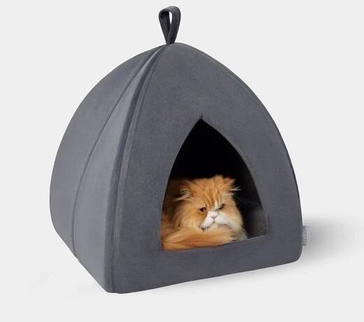 Cat Supplies - Free shipping | Chewy Canada