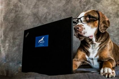 IMG_7393 – dogtrainer – Výchova a výcvik psov