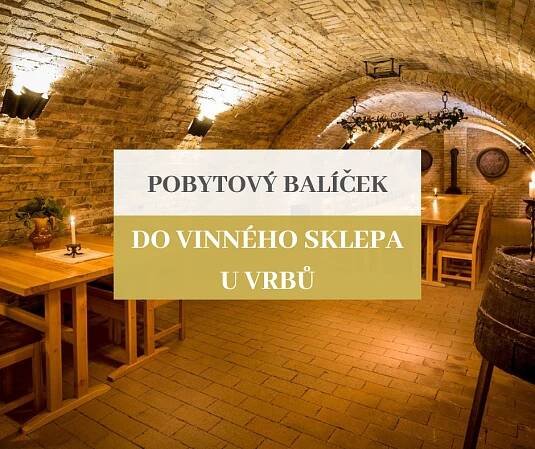 Penzion a vinařství U Vrbů foto 40