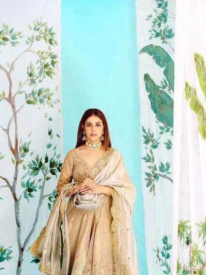 Genelia D'Souza exudes elegance in picture-perfect ethnic attires
