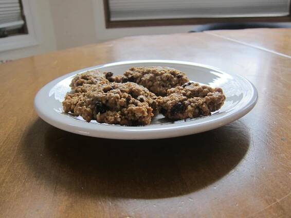 instant oatmeal packet cookies