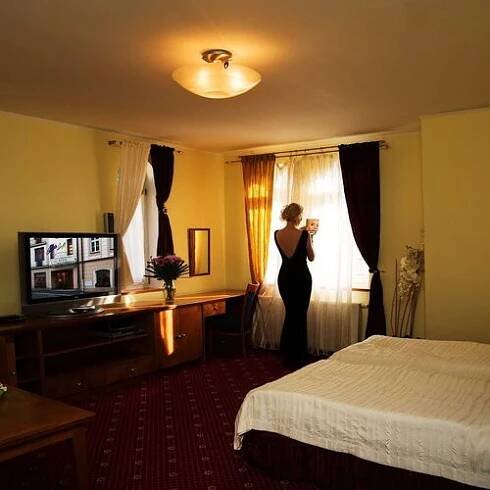 HOTEL RŮŽE Karlovy Vary | Hotely.cz