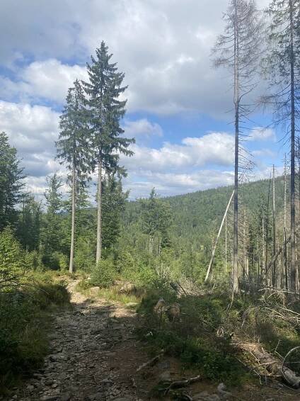 3. Ledovcová jezera na Šumavě - Penzion Pod Ždánovem - 1