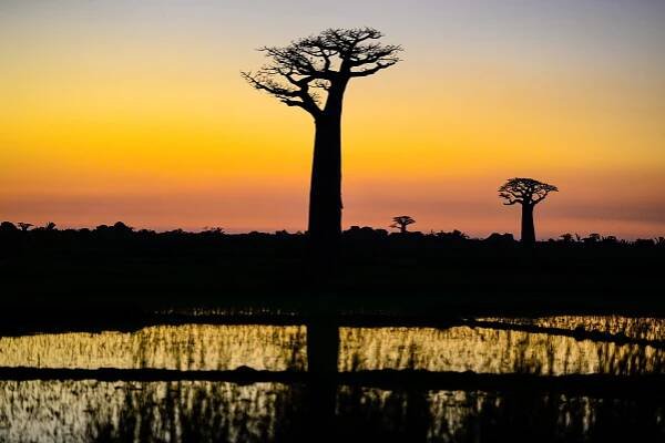 Přírodní krásy Madagaskaru s ČP – poznávací zájezd