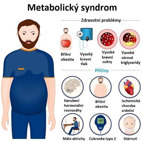 Metabolický syndrom - ilustrace