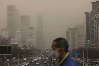 Breathing polluted air may make you worse at maths and language