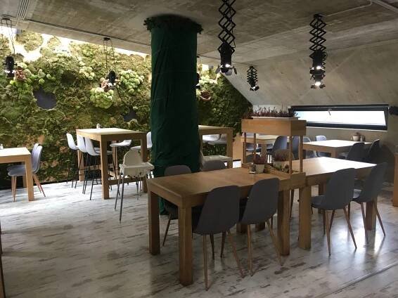 Jak se k udržitelnosti staví české restaurace? Inspirujte se dobrými příklady. - Kokoza