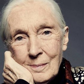 Jane Goodall: ‘People are surprised I have a wicked sense of humour’