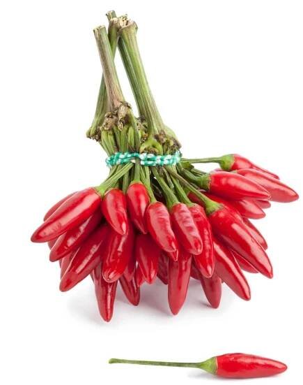 fresh cayenne pepper options tabasco peppers