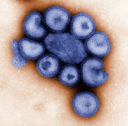 Free picture: virus, microscope, colorized, blue