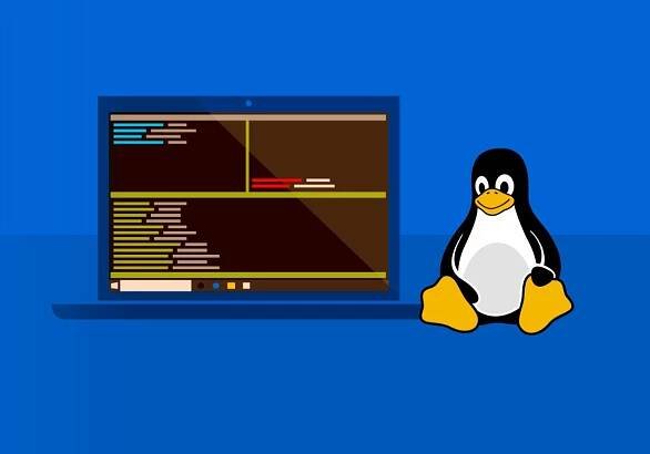 How to install Linux (Ubuntu or Kali) in Windows-10 without Dual Boot, Virtualbox, VMware using WSL - Leewardslope