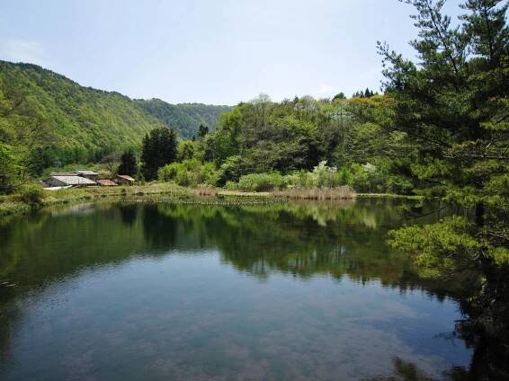 Soubor:Yonoike.jpg – Wikipedie