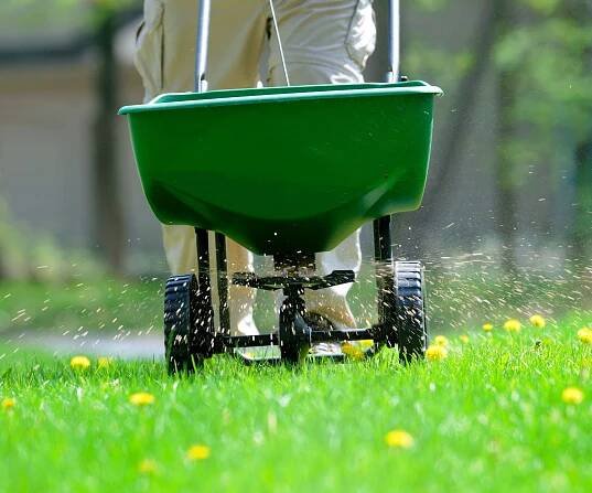Using a feeding machine to fertilize a lawn