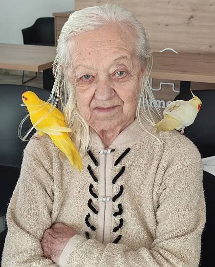 Papoušci🦜 | Alzheimer Home