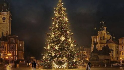Vánoční strom bude mít letos barvy hlavního města, červené, vínové a zlaté. (30. listopadu 2023)