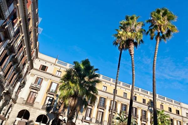 Palm trees at Placa Reial, Barcelona — Stock Image