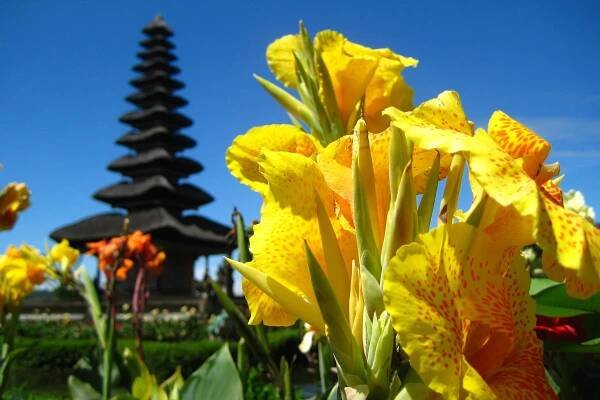 Indonésie - Jáva, Bali, Nusa T. | Cestuj a foť