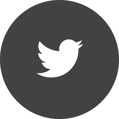ICON_TWITTER_GRAY.png