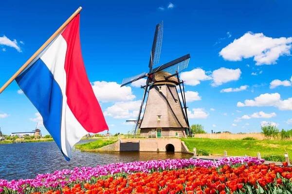 Dutch Government's Consultation On a Flavor Bans-The Beginning of the End For the Dutch Vape Industry? - ELKA