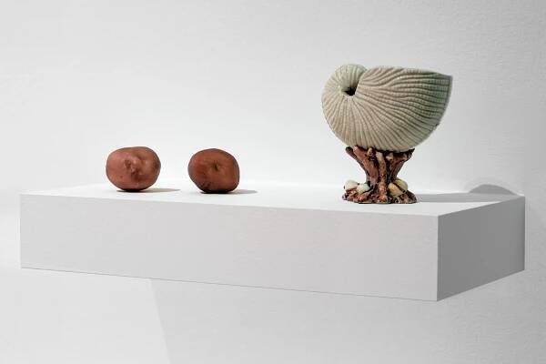 MELANIE SMITH / MACBA - Marcelo Isarrualde