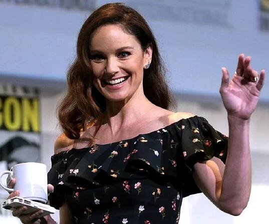 Sarah Wayne Callies - Bio, Facts, Family Life of Actress
